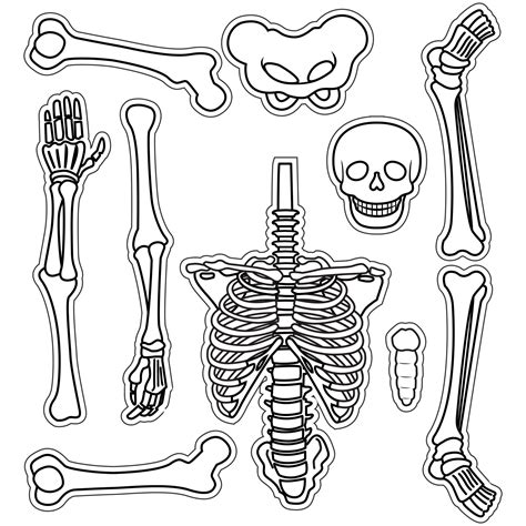 Free Printable Skeleton